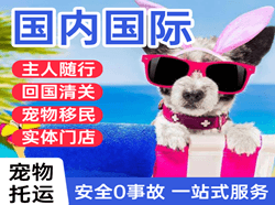 江北航空邮寄国际宠物托运 【国